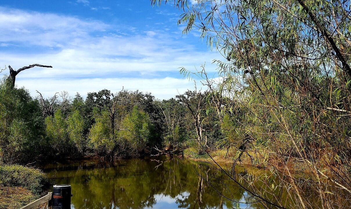 Photo of Outdoor in Brazos Valley