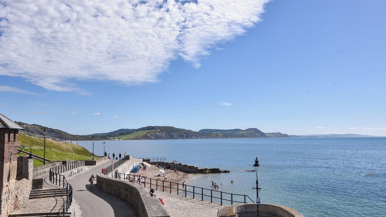 Photo of Others in West Buckland