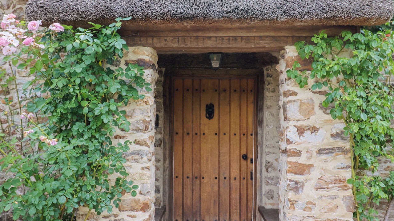 Photo of Outdoor in West Buckland