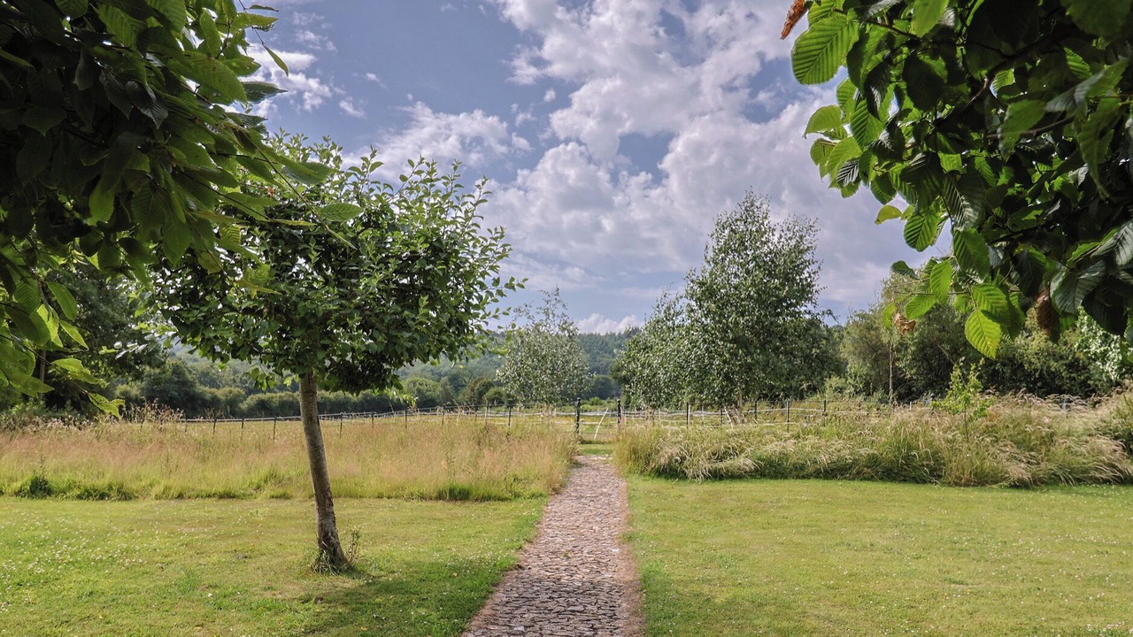 Photo of Others in West Buckland