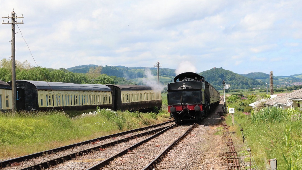 Photo of Others in West Buckland