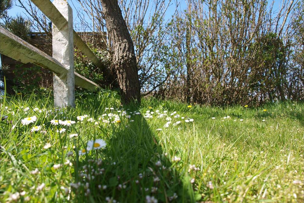 Photo of Outdoor in Ambleteuse
