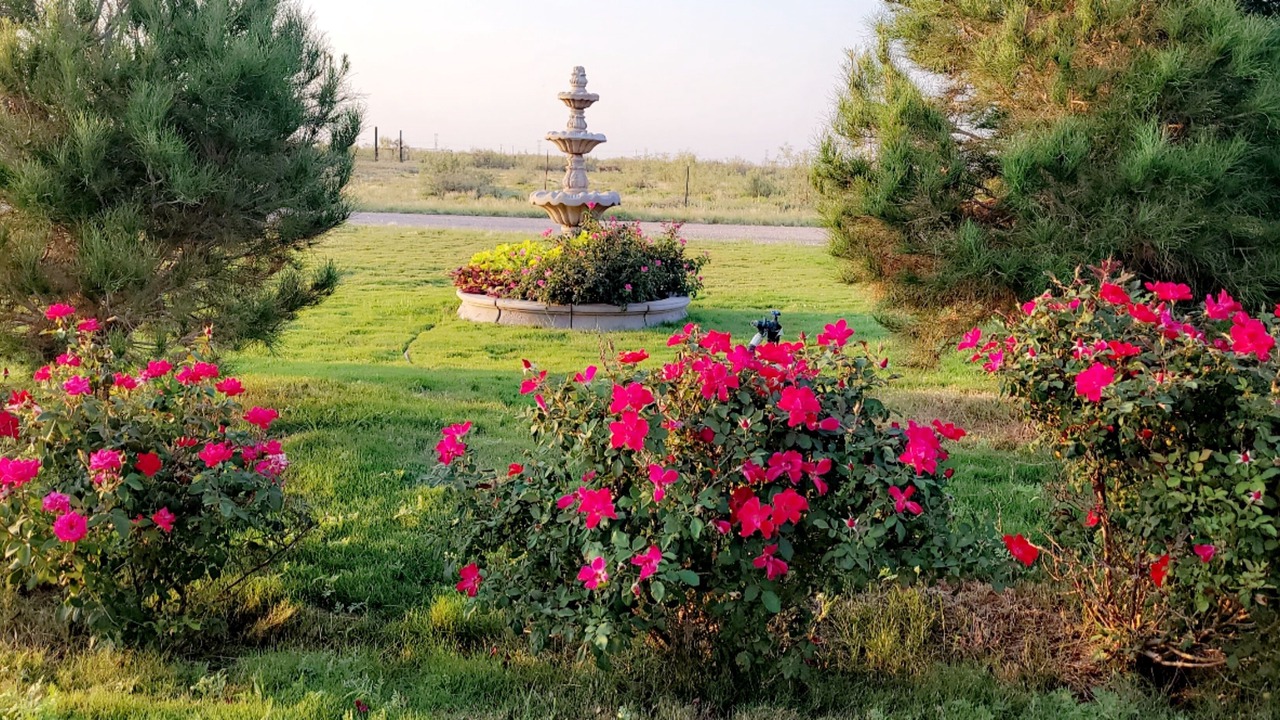 Photo of Outdoor in Midland