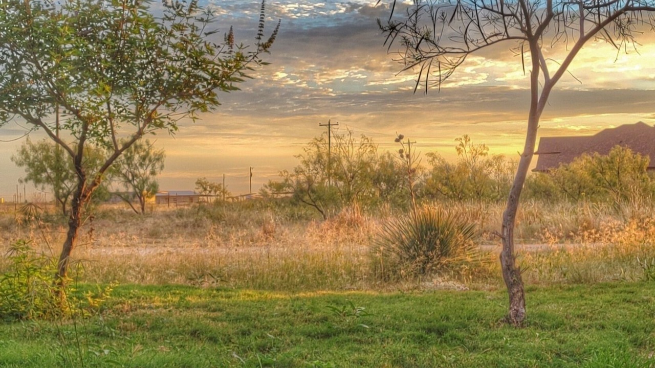 Photo of Outdoor in Midland
