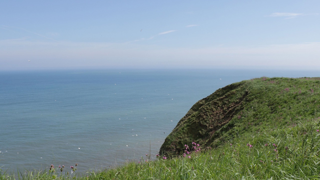 Photo of Others in Buckton