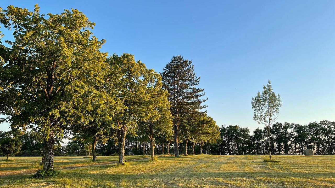 Photo of Others in Castelnau-Montratier-Sainte-Alauzie