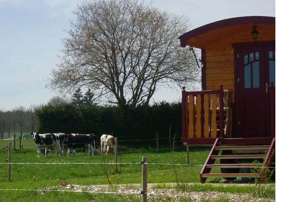 Photo of Outdoor in Chomelix