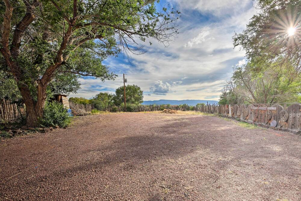 Photo of Others in Springerville