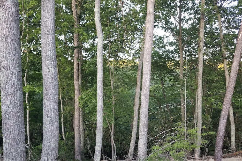 Photo of Outdoor in Blacksburg