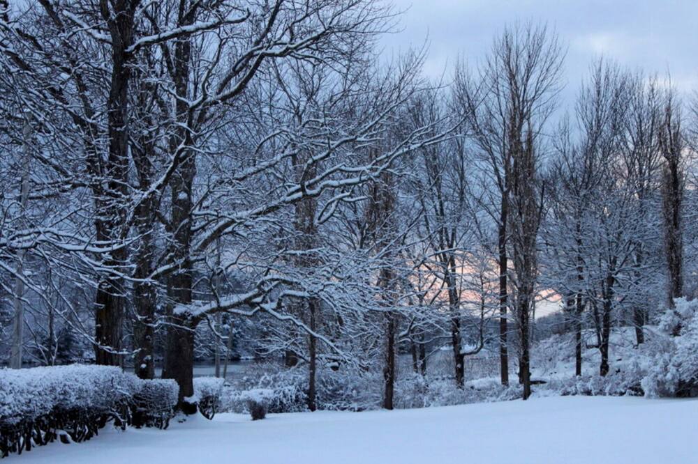 Photo of Others in Milton