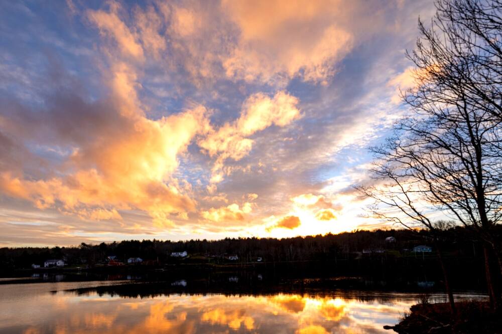 Photo of Others in Milton