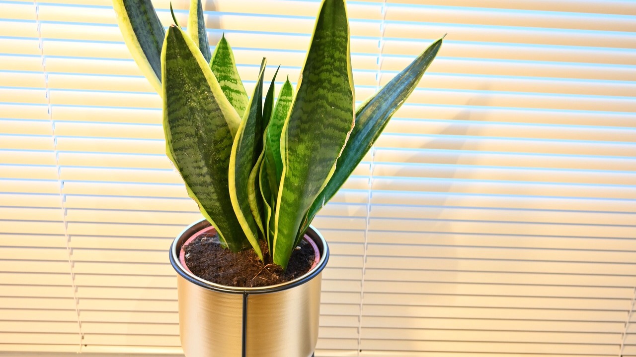 Photo of Others in Kendal