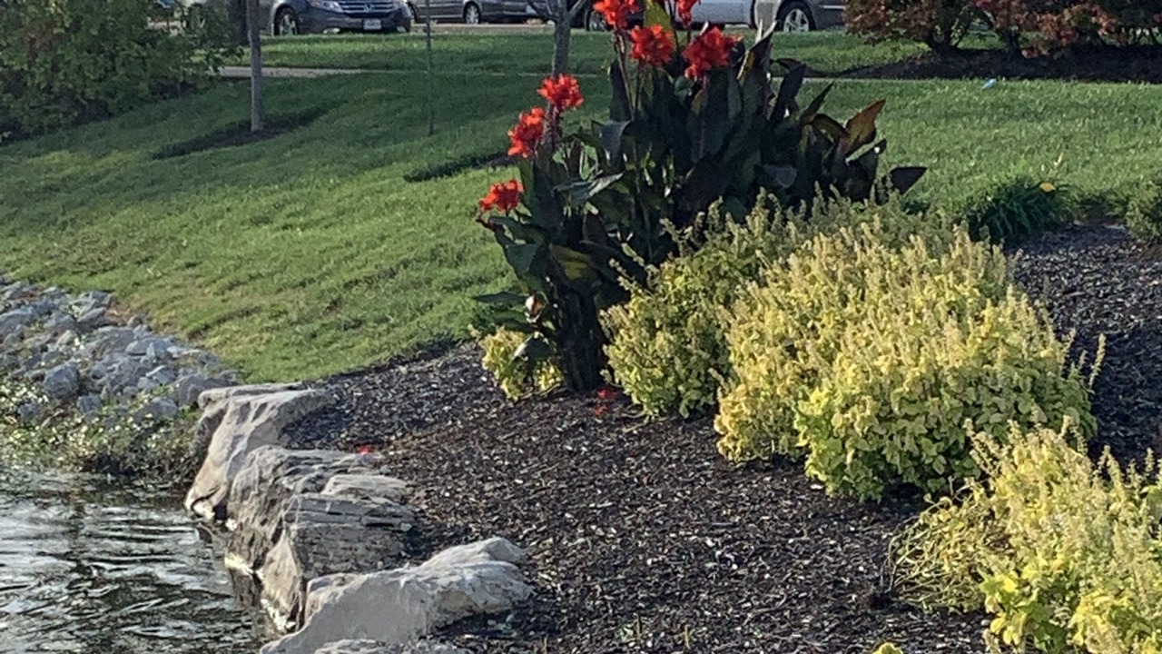 Photo of Outdoor in Ballwin