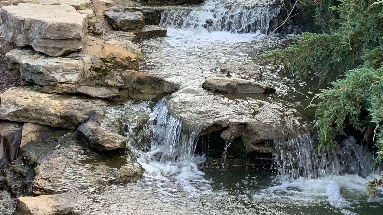 Photo of Outdoor in Ballwin