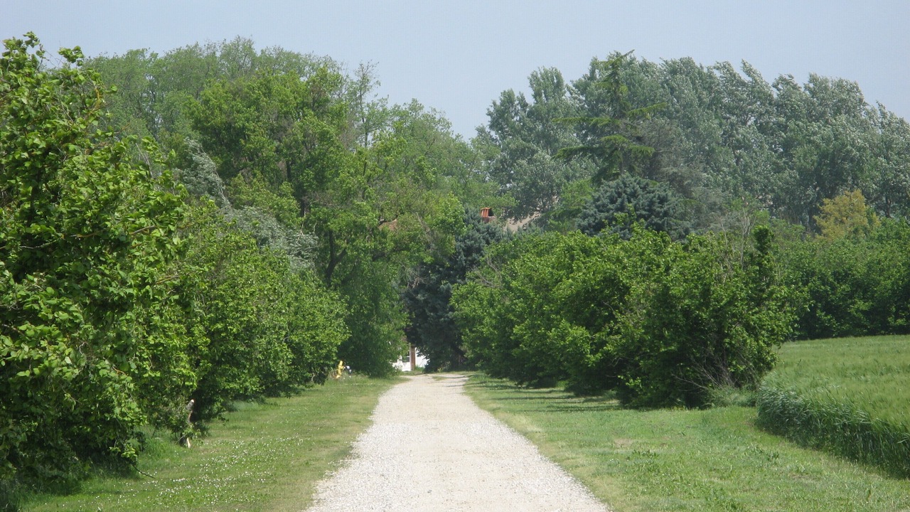 Photo of Outdoor in Mazeres