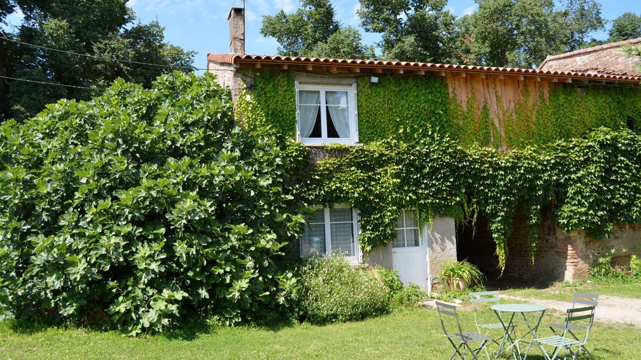 Photo of Outdoor in Mazeres