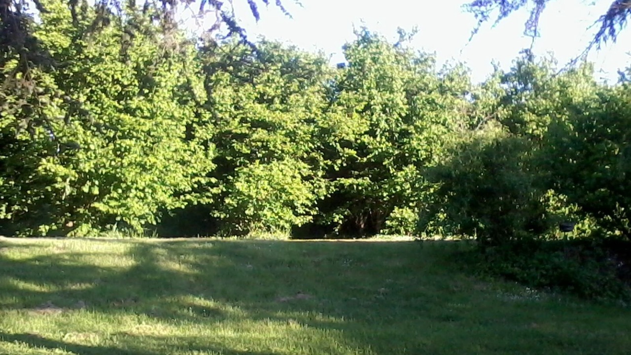 Photo of Outdoor in Mazeres