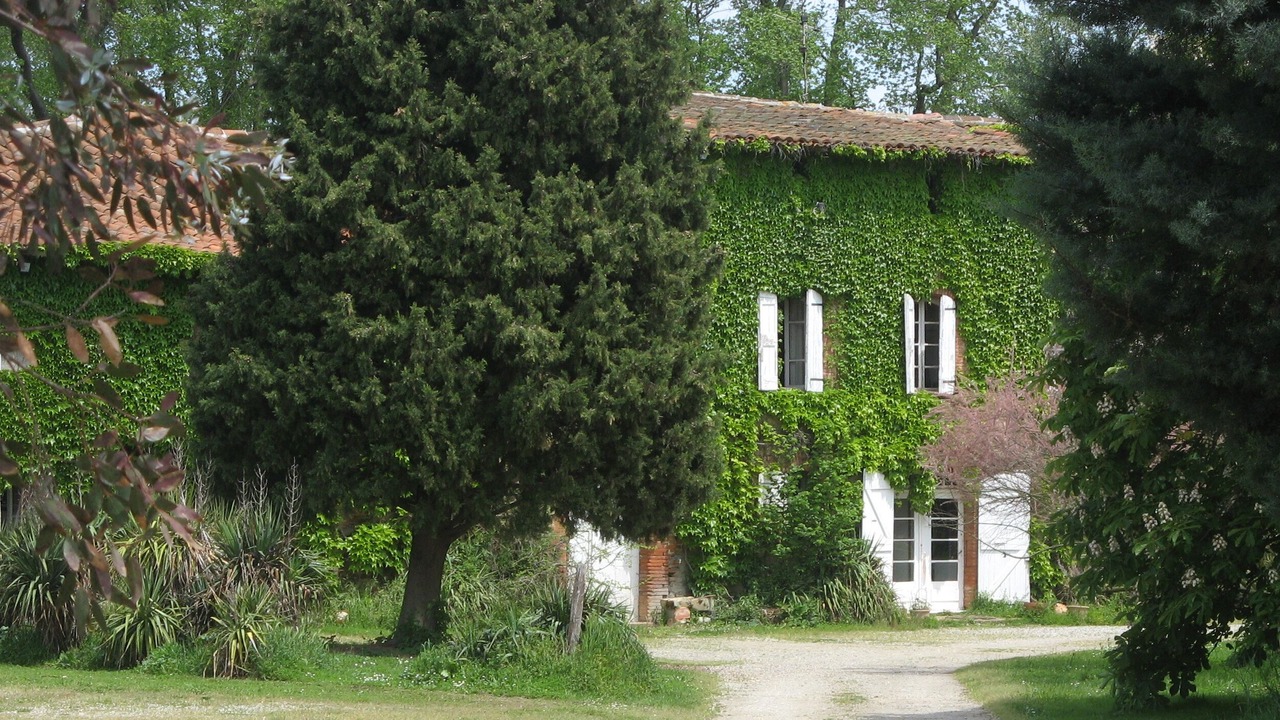 Photo of Outdoor in Mazeres