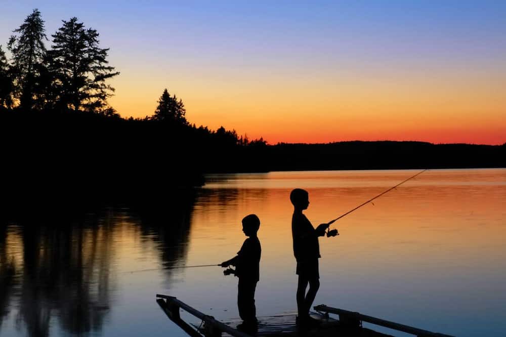 Photo of Others in Cwmtirmynach