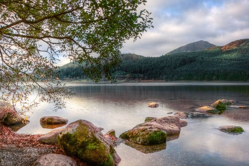 Photo of Others in Cwmtirmynach