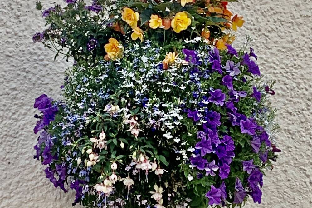 Photo of Outdoor in Inverkip