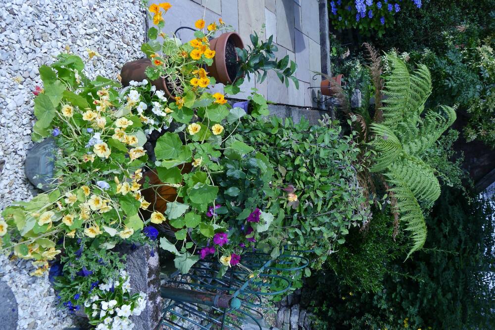 Photo of Outdoor in Inverkip