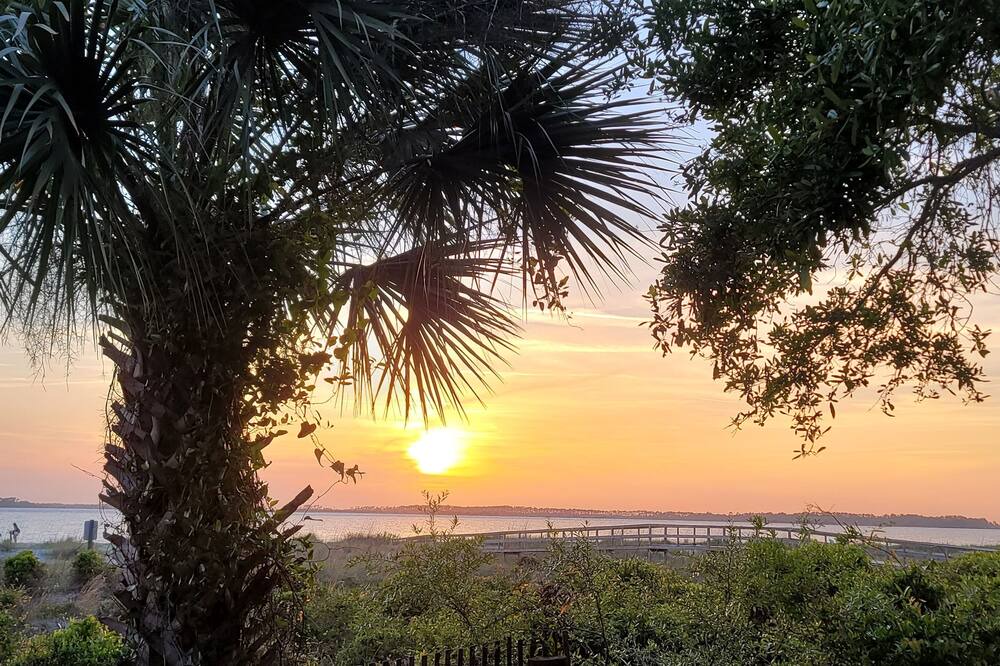 Photo of Others in Edisto Island