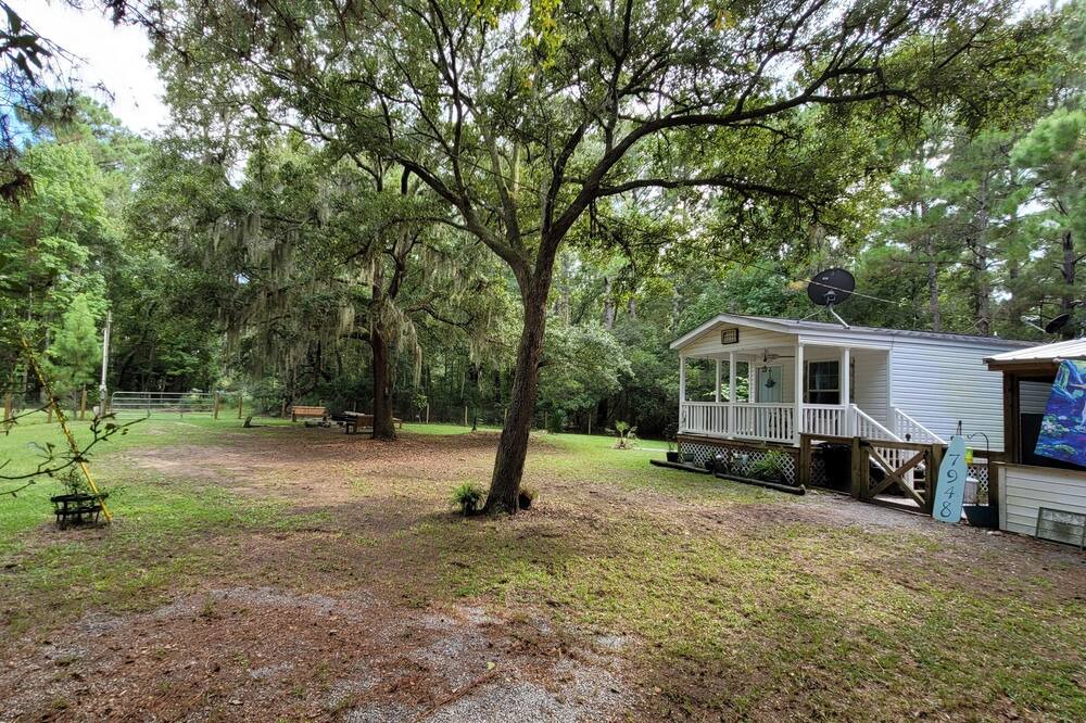 Photo of Others in Edisto Island