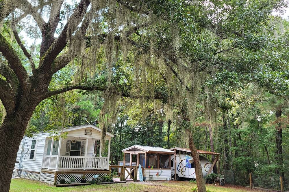 Photo of Others in Edisto Island