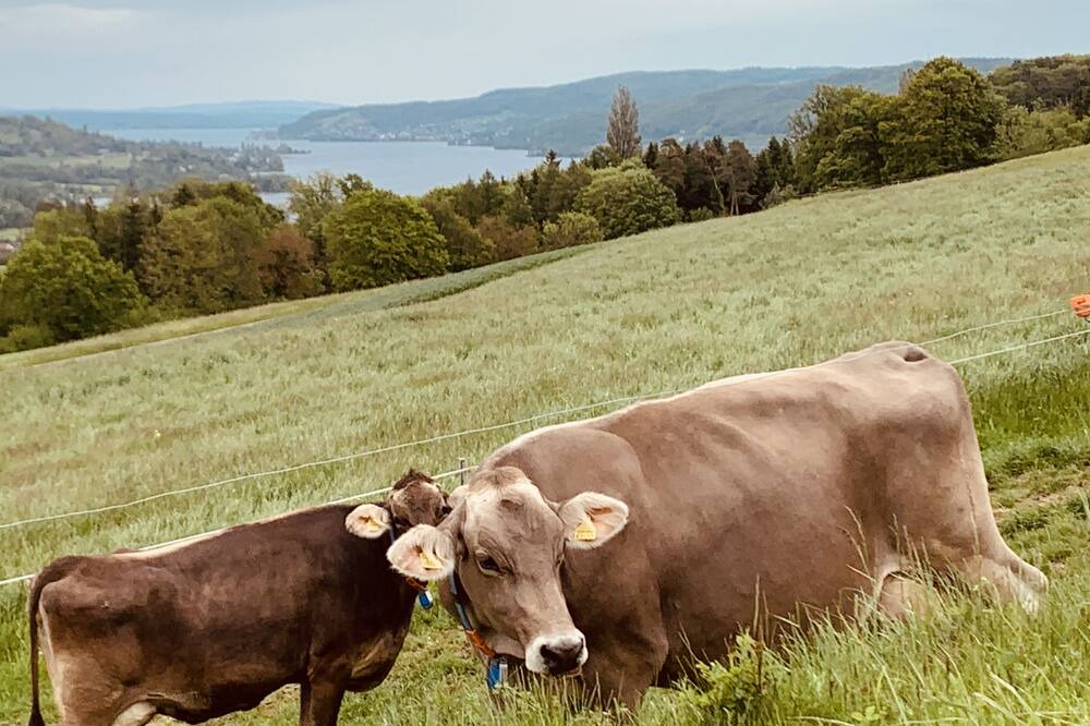 Photo of Outdoor in Frauenfeld