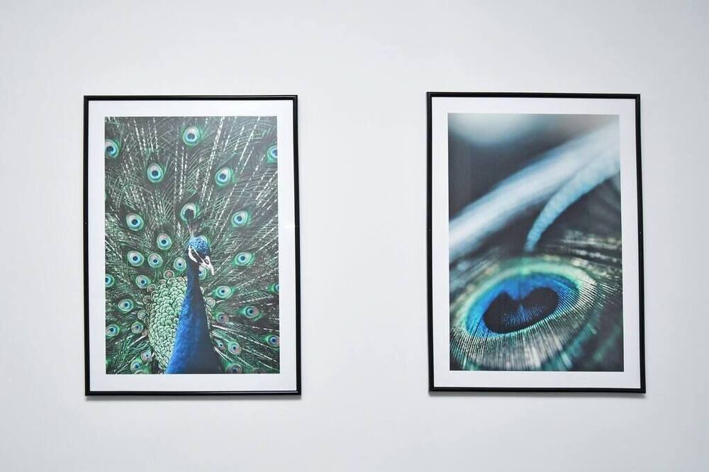 Photo of Others in Newcastle-Under-Lyme