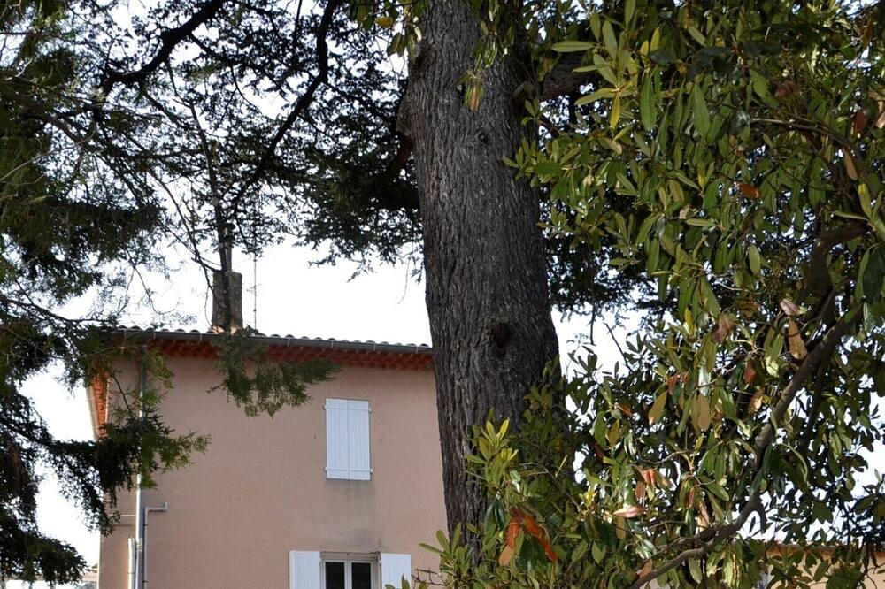 Photo of Outdoor in Saint-Maximin-la-Sainte-Baume