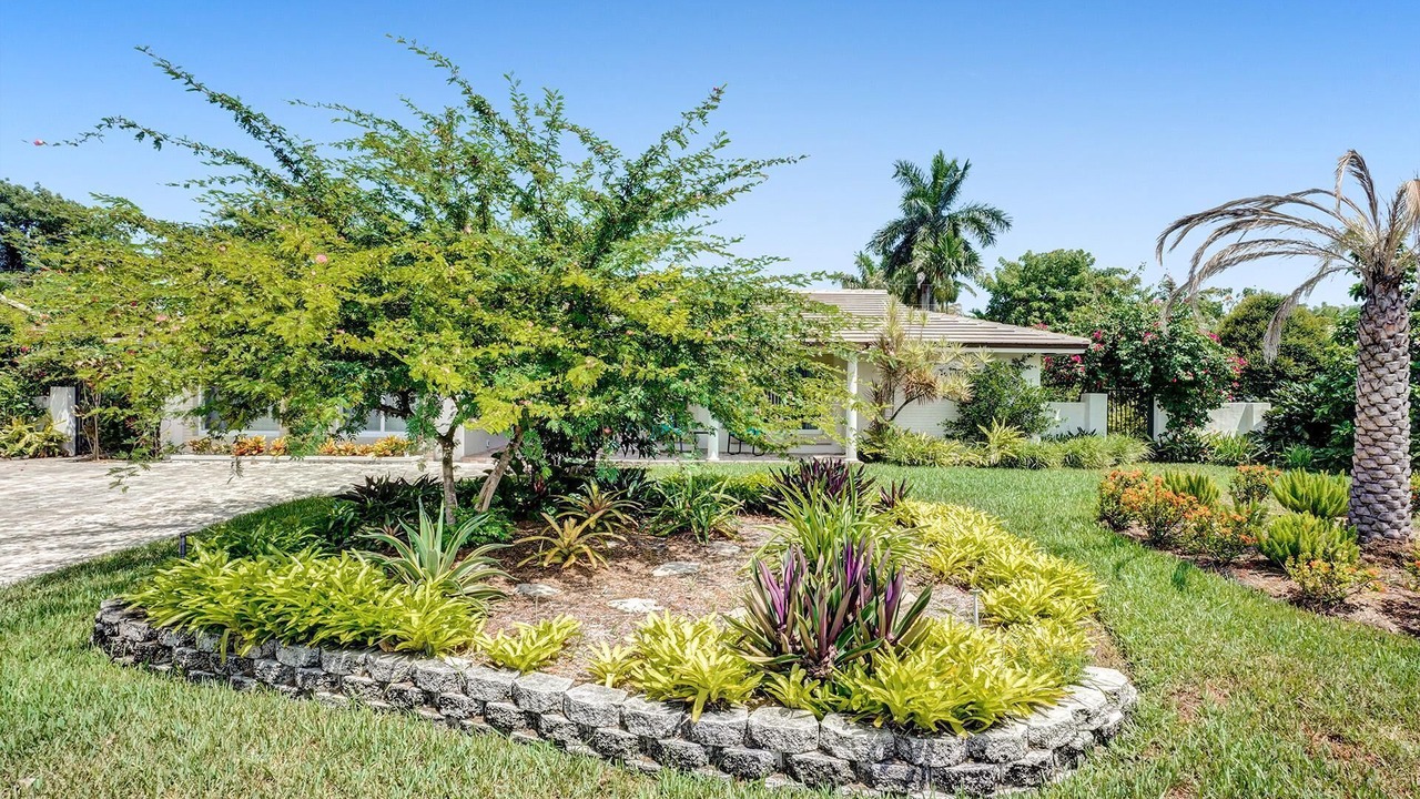 Photo of Outdoor in Central Corals