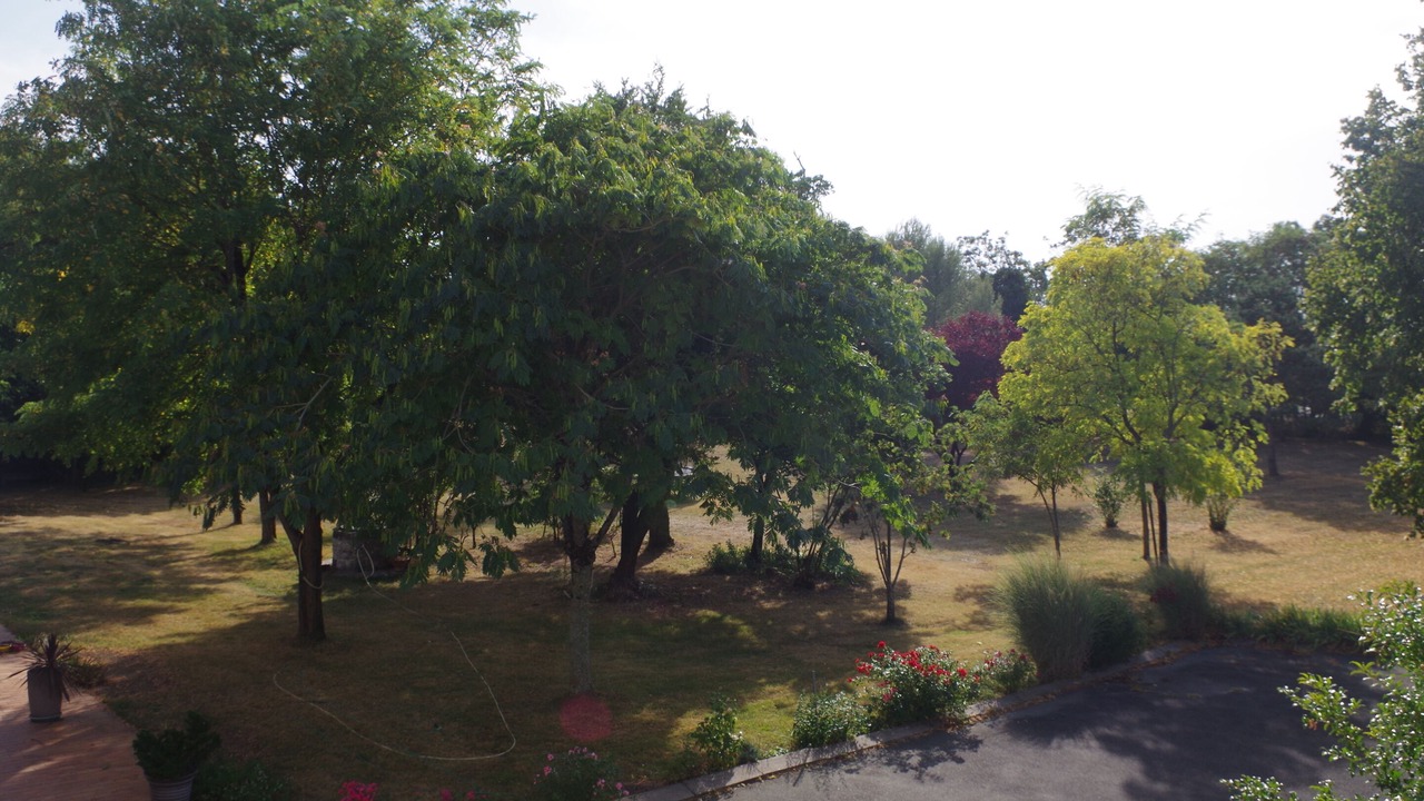 Photo of Outdoor in Saint Ouen d'Aunis