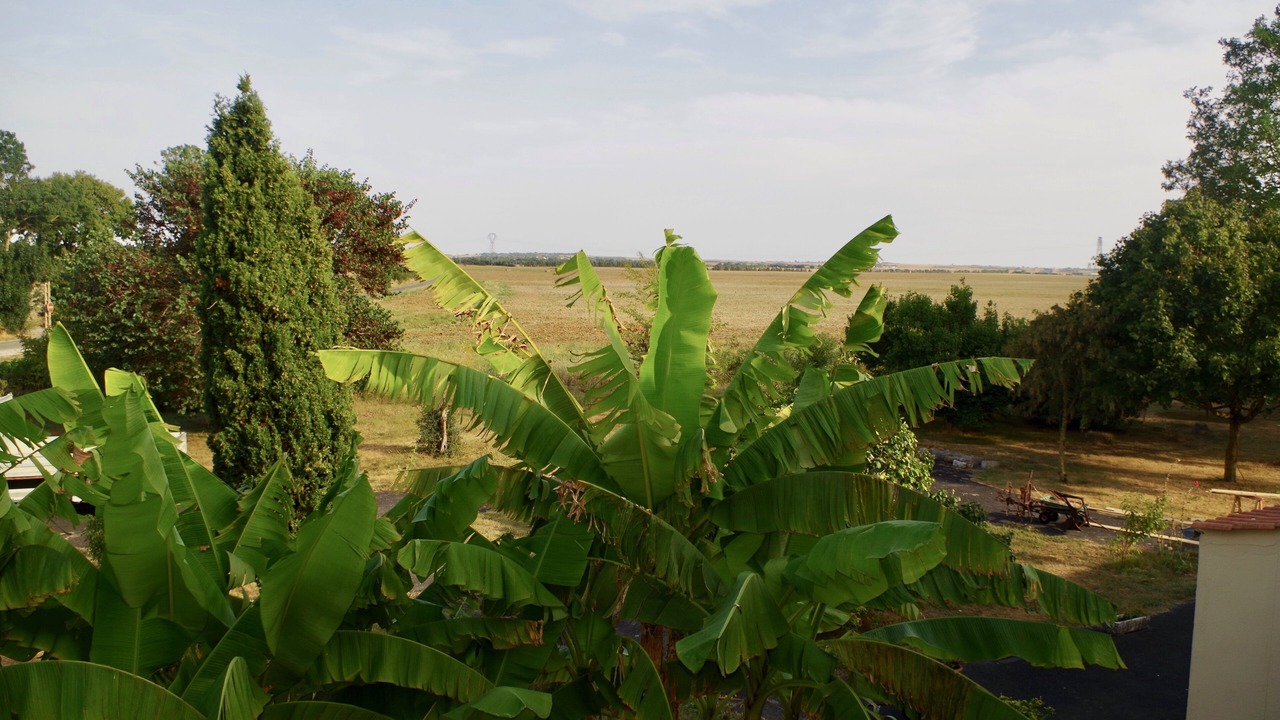 Photo of Outdoor in Saint Ouen d'Aunis
