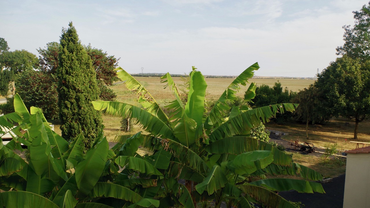 Photo of Outdoor in Saint Ouen d'Aunis