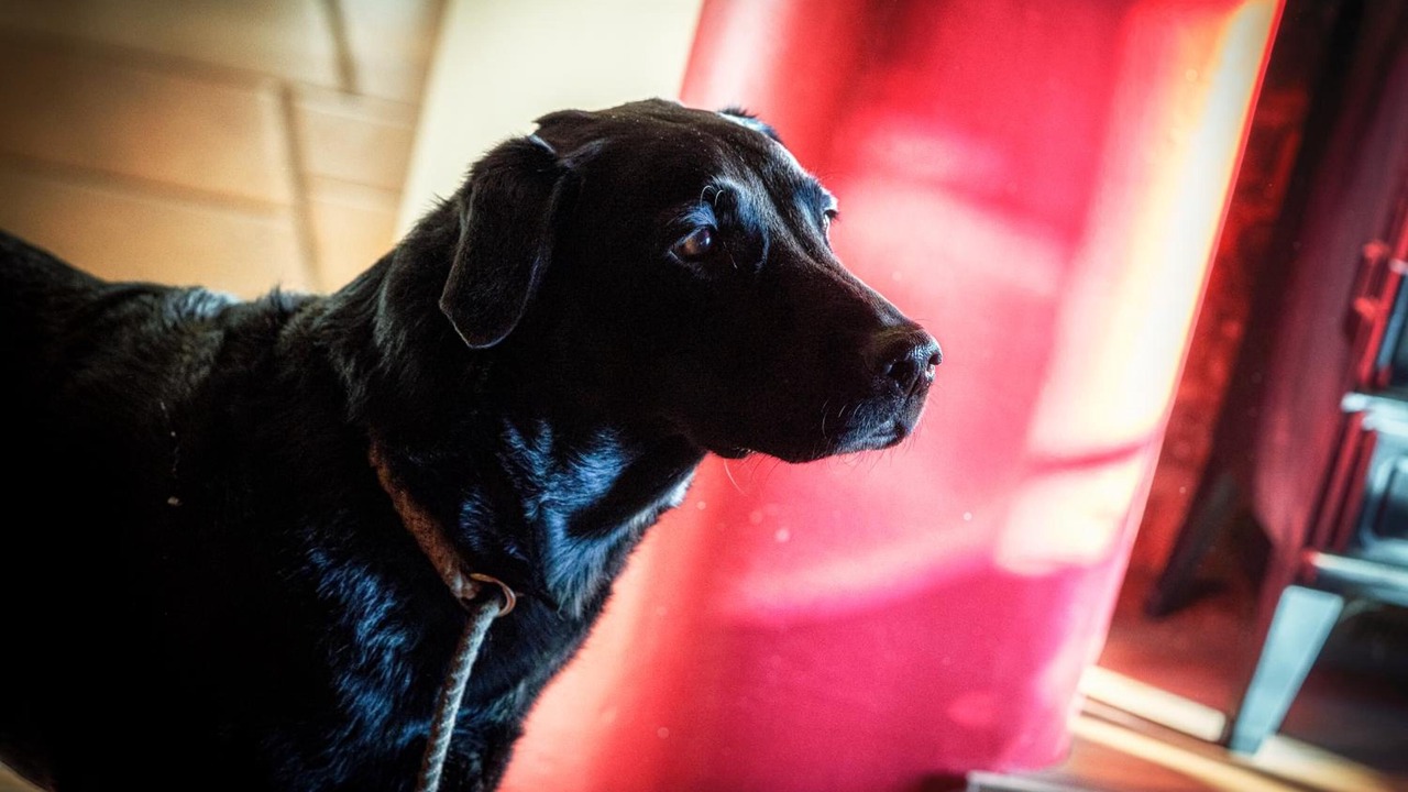 Photo of Others in Maidensgrove