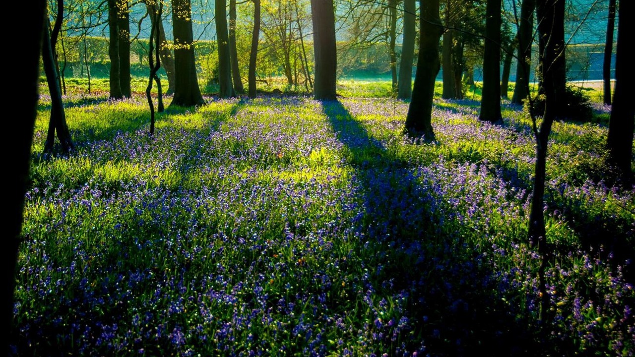 Photo of Outdoor in Maidensgrove