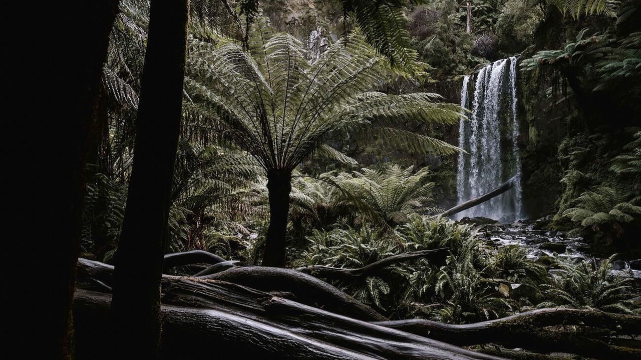 Photo of Others in Hordern Vale