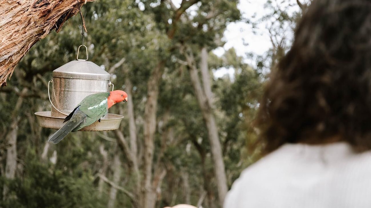 Photo of Outdoor in Hordern Vale