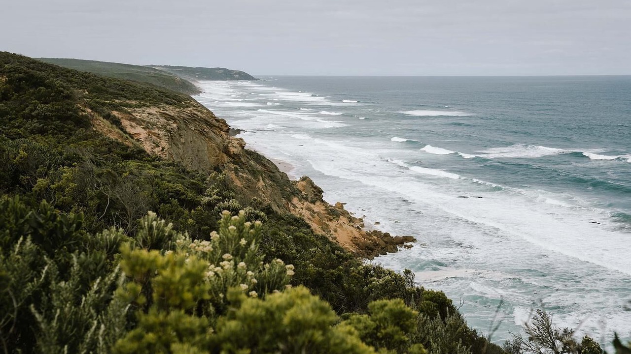 Photo of Others in Hordern Vale