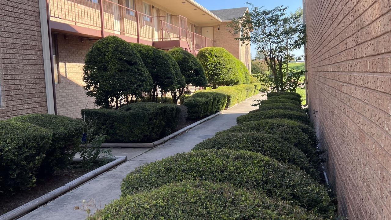Photo of Outdoor in Killeen