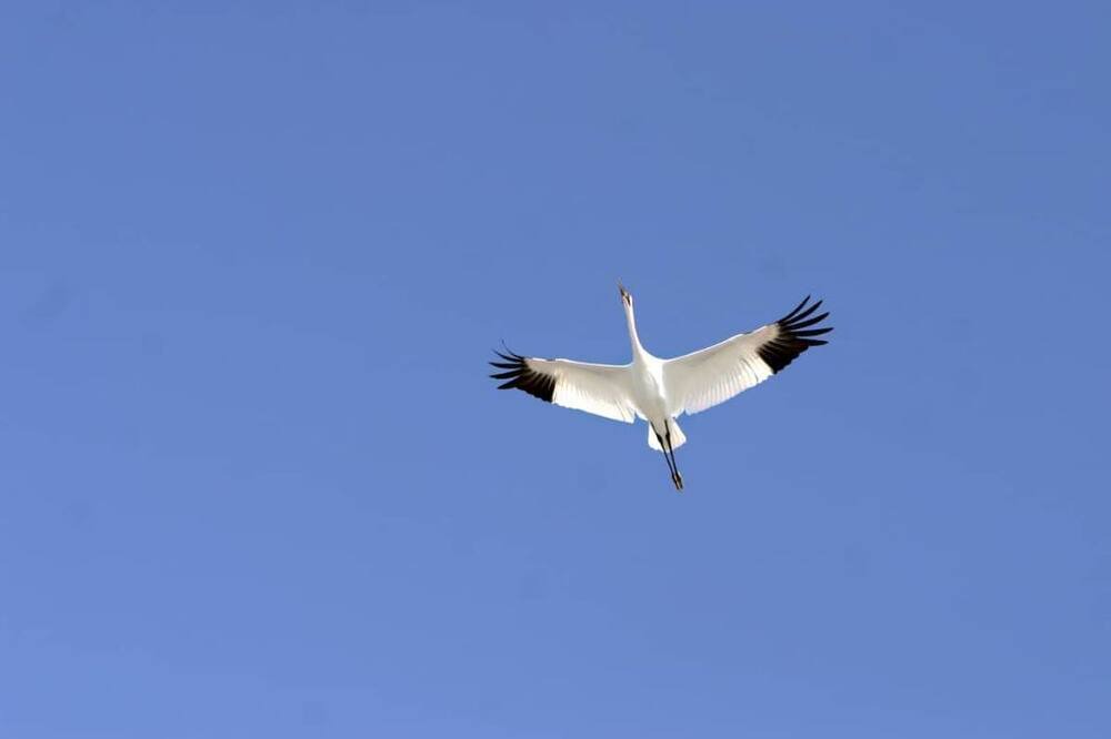 Photo of Others in Rockport