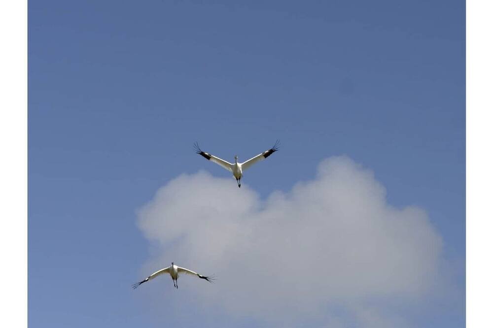 Photo of Others in Rockport