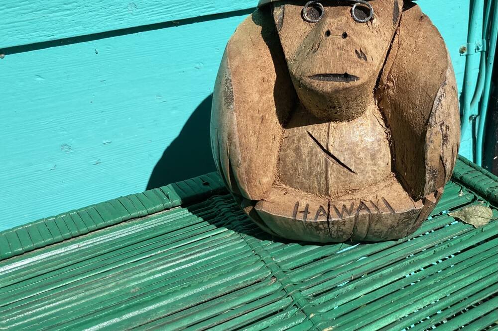 Photo of Others in Aransas Pass
