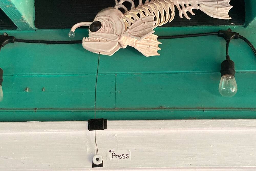 Photo of Others in Aransas Pass