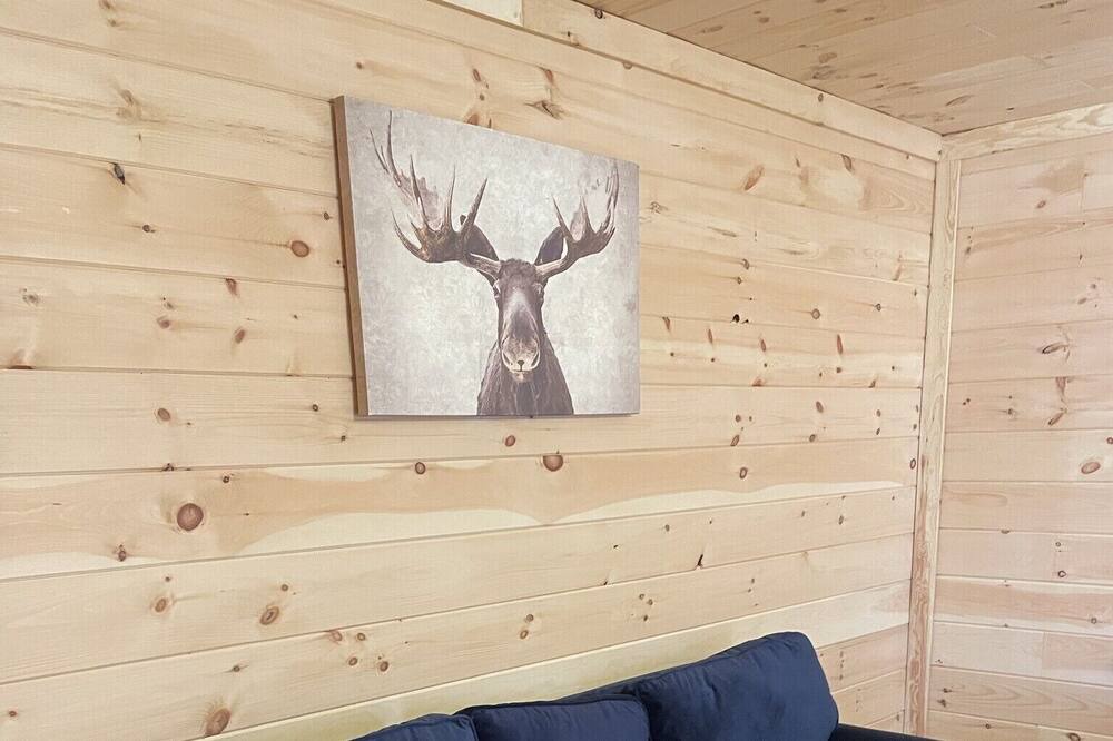 Photo of Livingroom in Converse