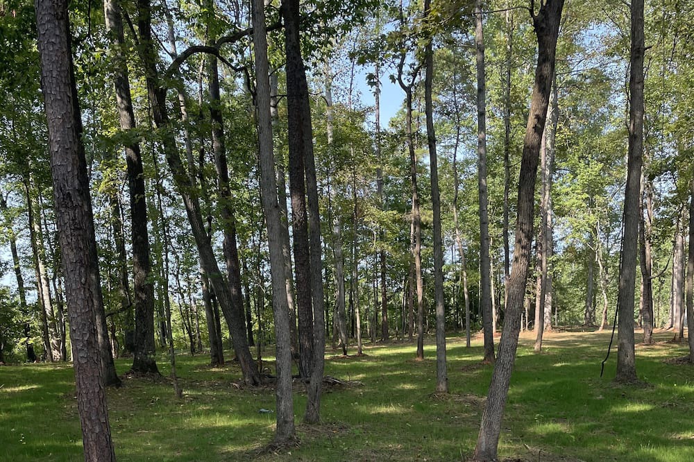 Photo of Outdoor in Converse