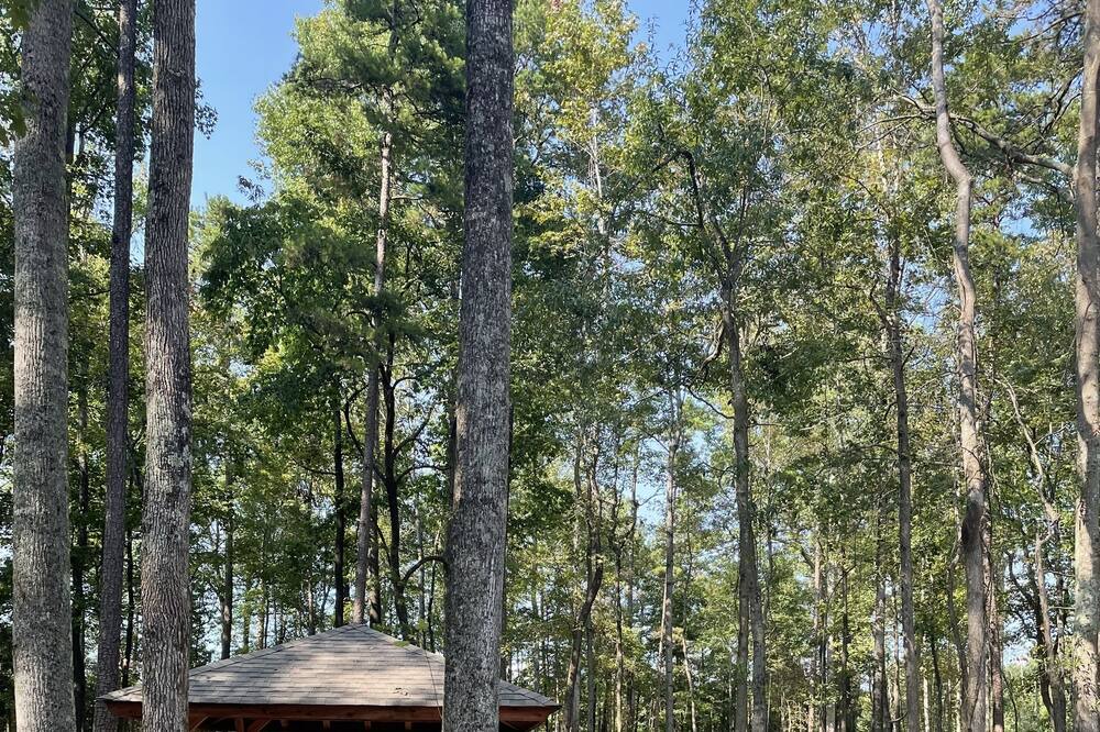 Photo of Outdoor in Converse