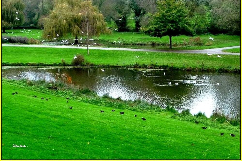 Photo of Others in Saint-Martin-du-Littoral